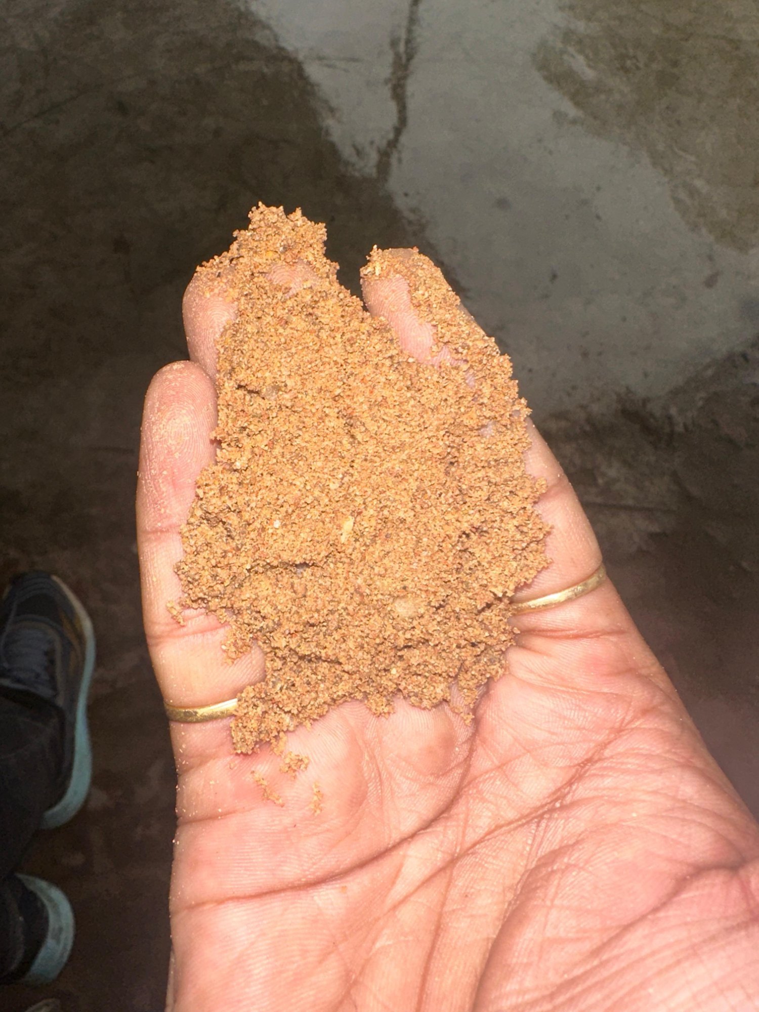 Yamuna River Pebbly Construction Sand